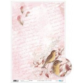 Papel cartonaje. PFY. Romantic Birds & Feathers. 32 x 48,3 cm