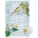 Papel cartonaje. PFY. Romantic Blue Pentagram & Yellow Bird. 32 x 48,3 cm