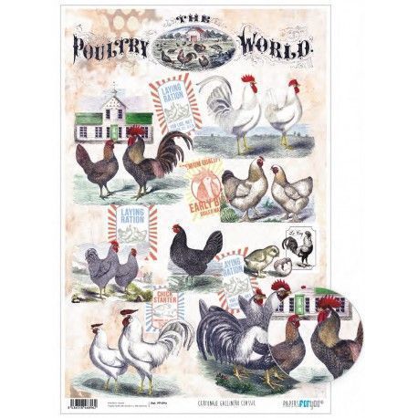 Papel cartonaje. PFY. Gallinero Classisc. 32 x 48,3 cm