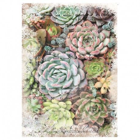 Zuri. Decoupage Decor Tissue Paper. Todo ReDesign y Prima Marketing en L'aura Bella tu tienda