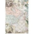 Papel entelado. PFY-246. Born to be Wild. 100 x 70 cm. Lo mejor para encuadernación en tu tienda L'aura Bella