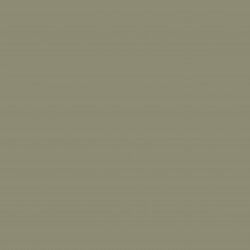 Oliva, esmalte acrílico multisuperficies. The Capricho de Mary Paint. G007. L'aura Bella tu tienda Mary Paint España