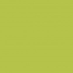 Pistacho, esmalte acrílico multisuperficies. The Capricho de Mary Paint. G014. L'aura Bella tu tienda Mary Paint España