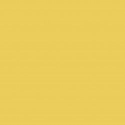 Amarillo. esmalte acrílico multisuperficies. The Capricho de Mary Paint. Y004. L'aura Bella tu tienda Mary Paint España