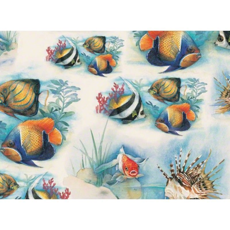 Pesci tropicali. 165. Tassotti. Los mejores productos de encuadernación en tu tienda L'aura Bella