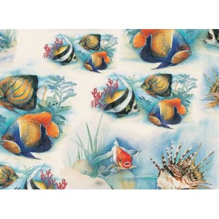 Pesci tropicali. 165. Tassotti. Los mejores productos de encuadernación en tu tienda L'aura Bella