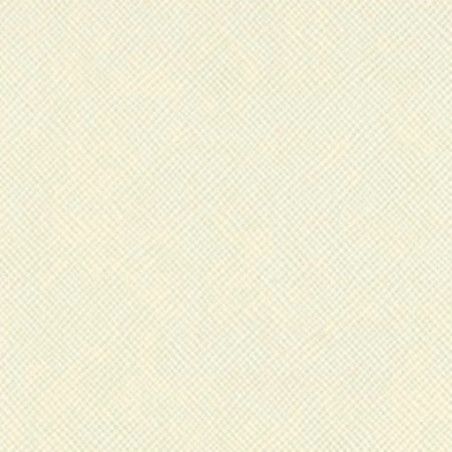 cartulina scrapbooking canvas cream puff. T8-804. Los mejores productos en L'aura Bella tu tienda online.