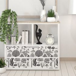 REDESIGN DECOR TRANSFERS® Coastal Sea Life 645977. Los mejores productos de Redesign en L'aura Bella tu tienda online 1